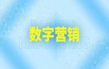 找数字化服务商？